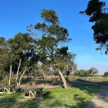 Granny's Praia de Mira