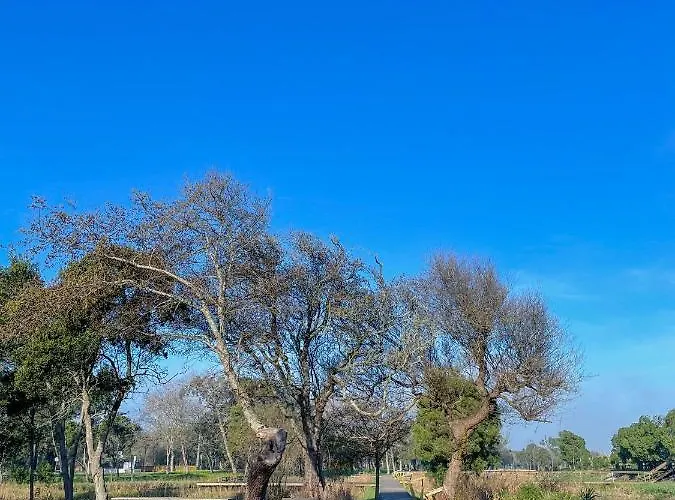 Granny's Affittacamere 3*